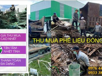 Thu Mua Phế Liệu Đồng Nai Giá Cao